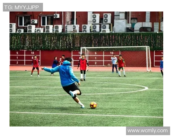 荣耀绿茵场足球明星的传奇人生与不朽梦想的电影颂歌