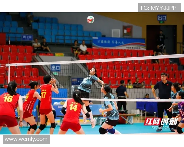 聚焦排球技术探讨成都排球队的训练与战术创新之路