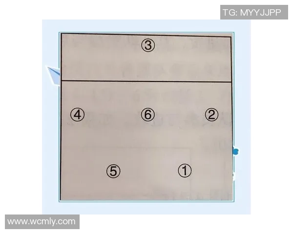 西安排球队战术深度解析与排球比赛策略探讨